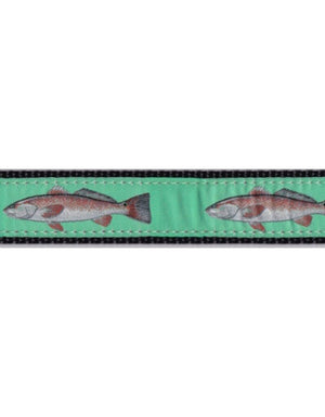 PRESTON Redfish Dog Collar