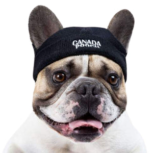 CANADA POOCH  Basic Beanie