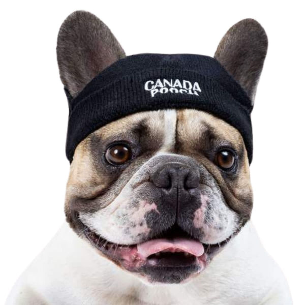 CANADA POOCH  Basic Beanie