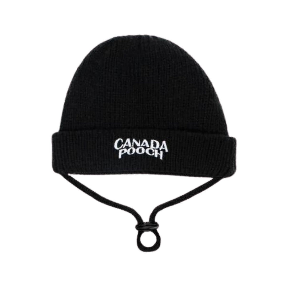 CANADA POOCH  Basic Beanie