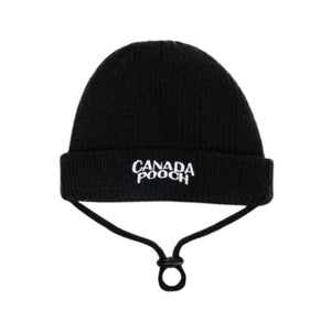 CANADA POOCH  Basic Beanie