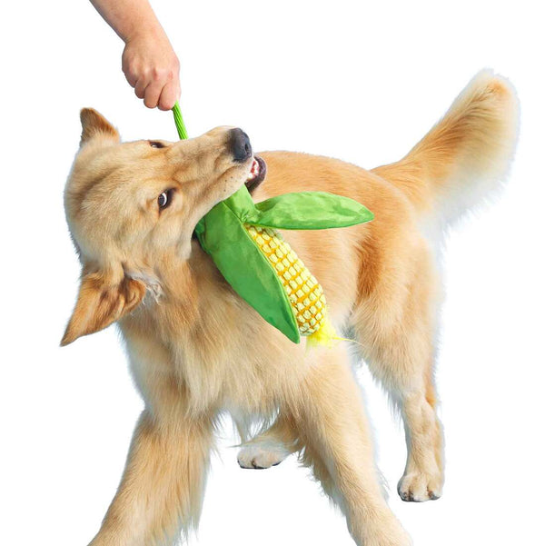 BARK Corn On The Slob Plush Dog Toy