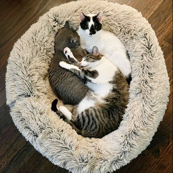 TALL TAILS Cuddle Donut Bed Frosted Grey