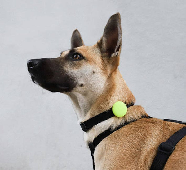 ZEE.DOG  AirTag Holder Lime