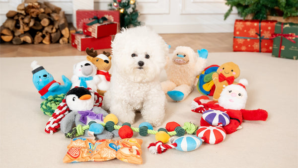 TERRITORY Holiday String of Lights Plush Squeaker Rope Tug Dog Toy