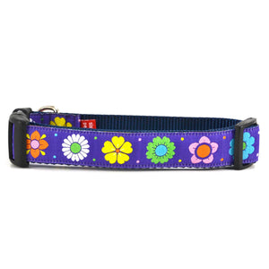 SIX POINT PET Daisy Chain Dog Collar Purple