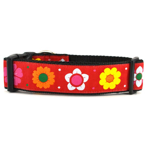 SIX POINT PET Daisy Chain Dog Collar Red