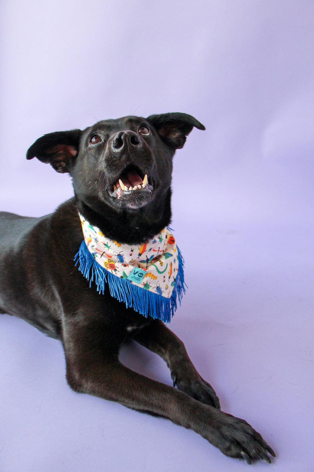 VELVET OUTPAW Bugs Blue Fringe Bandana