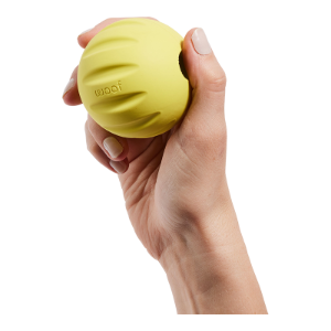 WOOF Forager Flyball