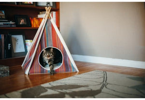 P.L.A.Y. Horizon Teepee Tent Desert