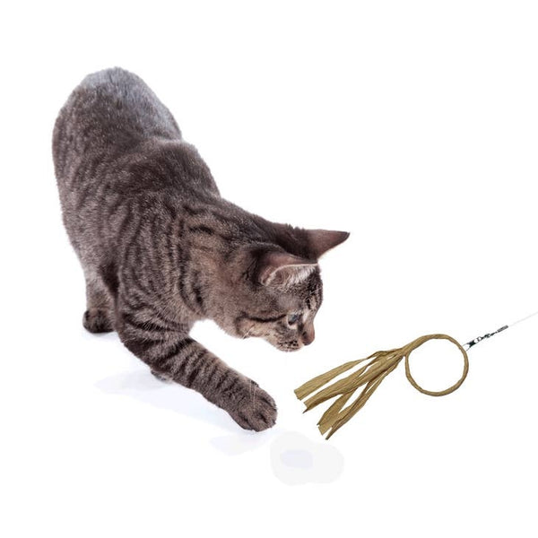 DEZI & ROO Flutter Ring Cat Lure Toy