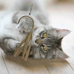 DEZI & ROO Flutter Ring Cat Lure Toy