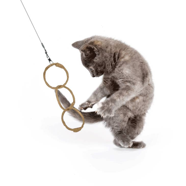 DEZI & ROO Oh Ring Cat Lure Toy
