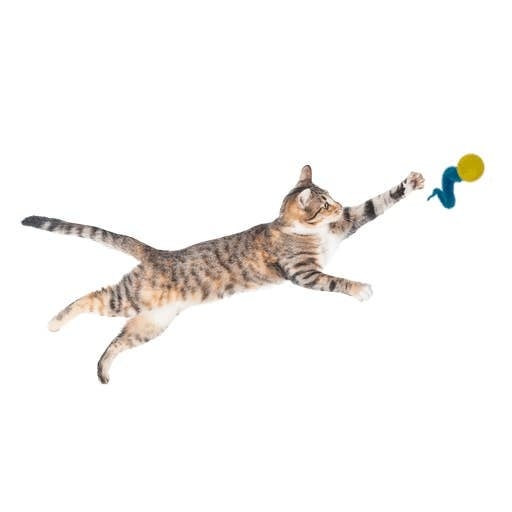 DEZI & ROO Wiggly Ping Cat Toy