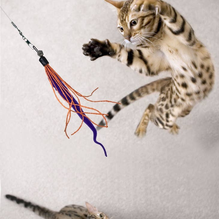 DEZI & ROO Wiggly Wand Cat Toy