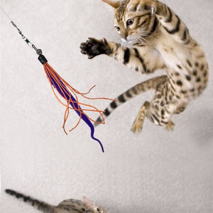 DEZI & ROO Wiggly Wand Cat Toy