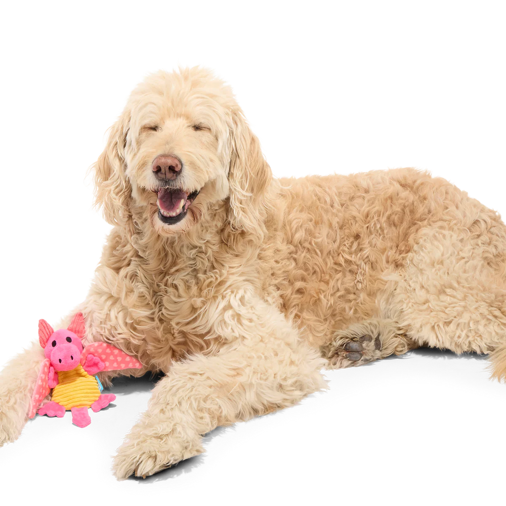 BARK Valentine Dinglbert The Dragon Plush Dog Toy