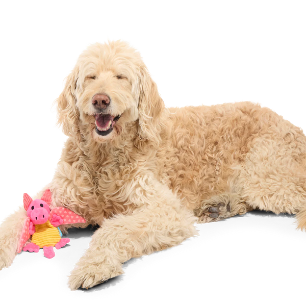 BARK Valentine Dinglbert The Dragon Plush Dog Toy