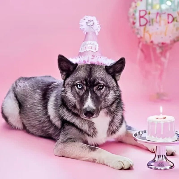 DOG CAKE BAKERY Birthday Drip Cake Pink