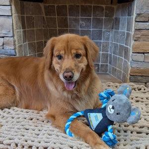 DOG MEETS TOY Robot Mouse
