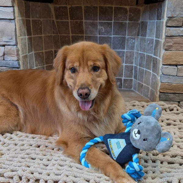 DOG MEETS TOY Robot Mouse