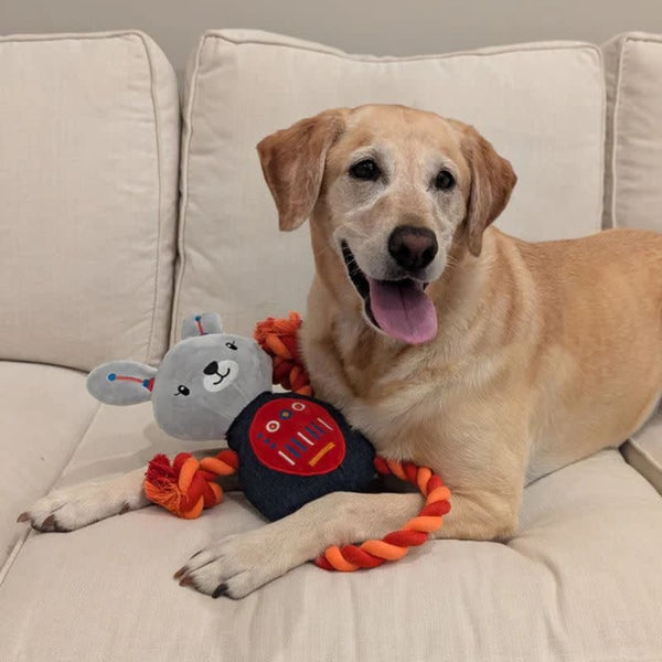 DOG MEETS TOY Robot Bunny