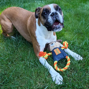 DOG MEETS TOY Robot Dog