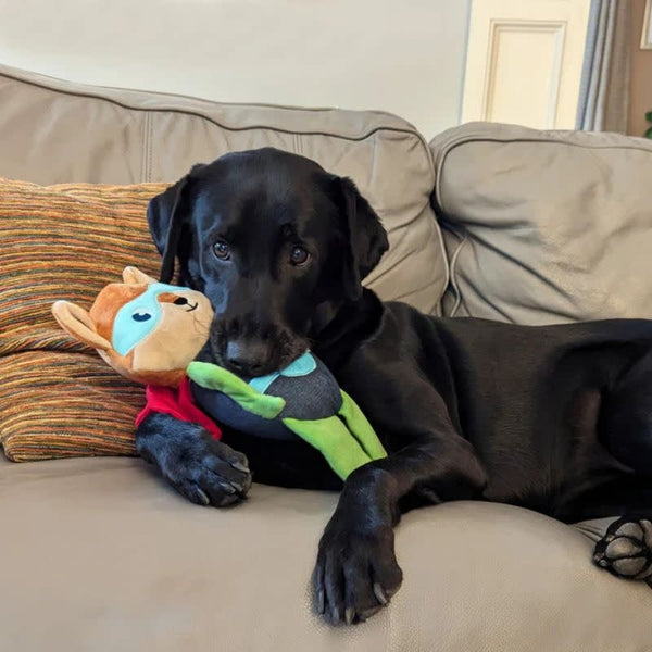 DOG MEETS TOY Super Fox
