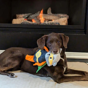 DOG MEETS TOY Super Racoon
