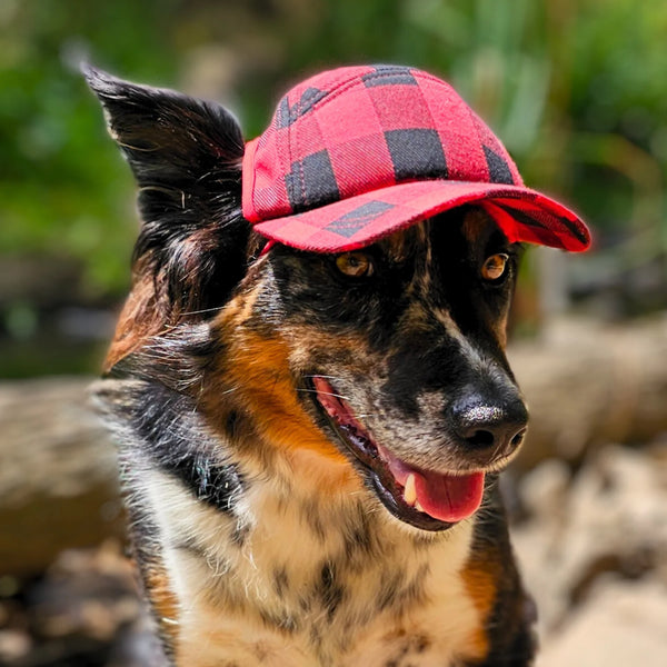 PUPLID Dog Trucker Hat Buffalo Plaid