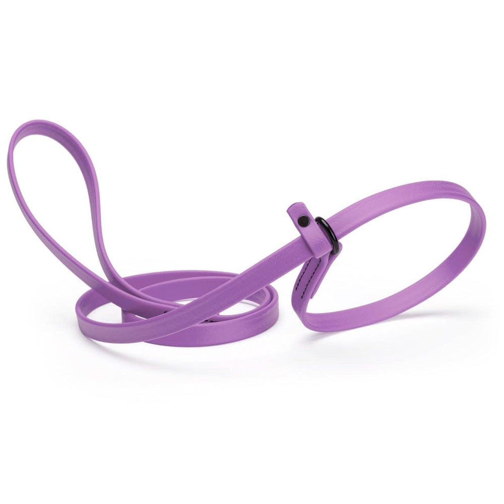 DOGLINE Biothane Slip Lead Purple 5ft