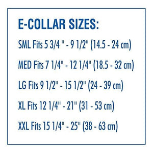 DOGSWELL E-Collar Rigid Clear