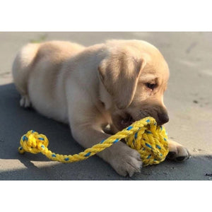 Fetch ME Floating Rope Fetch Toy