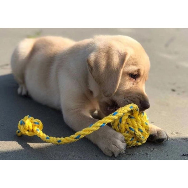 Fetch ME Floating Rope Fetch Toy