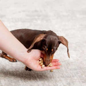 DR MARTY Dog Nature's Blend Small Breed Freezedried