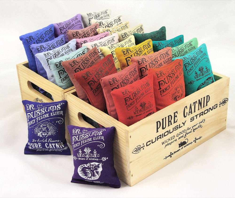 DR. PUSSUMS  Large Catnip Pillow