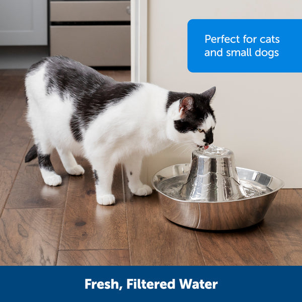 DRINKWELL by PETSAFE Seaside Stainless Pet Fountain