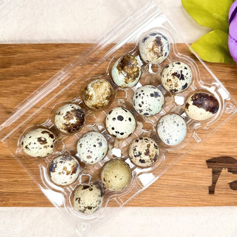 DROOLICIOUS Freezedried Quail Egg