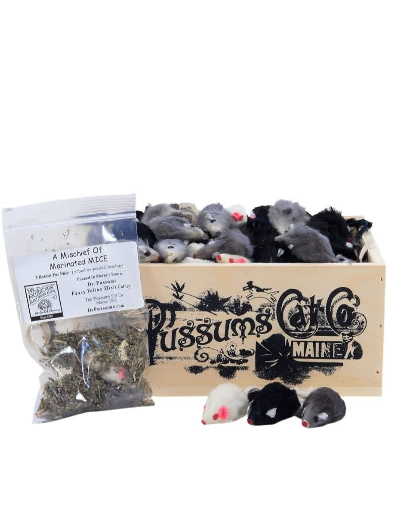 DR. PUSSUMS  Mischief Mice 3pk