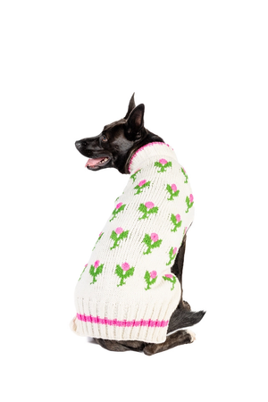 CHILLY DOG Rosebud Sweater