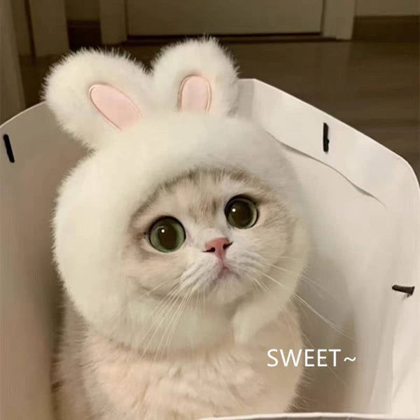 CHEERHUNTING Bunny Cat Hat