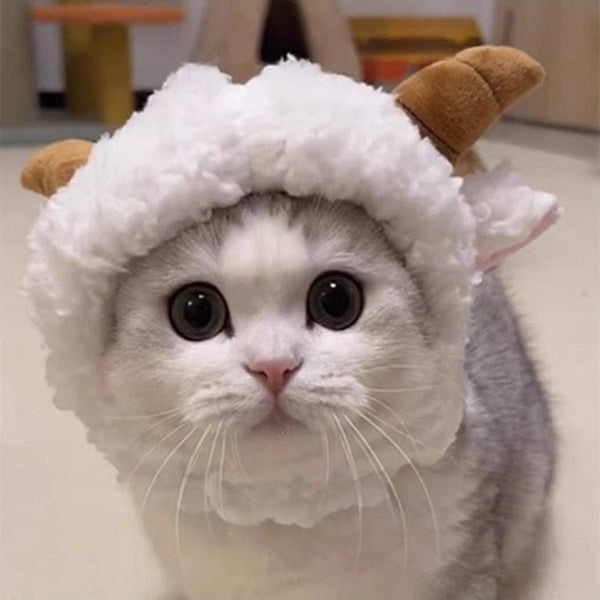 CHEERHUNTING Goat Cat Hat