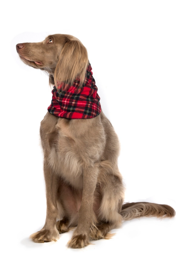 GOLD PAW Snood Red Plaid/Black