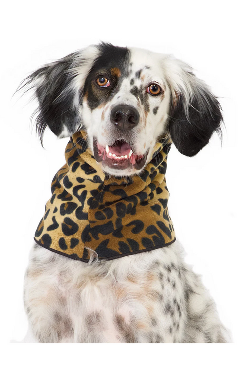 GOLD PAW Snood Leopard