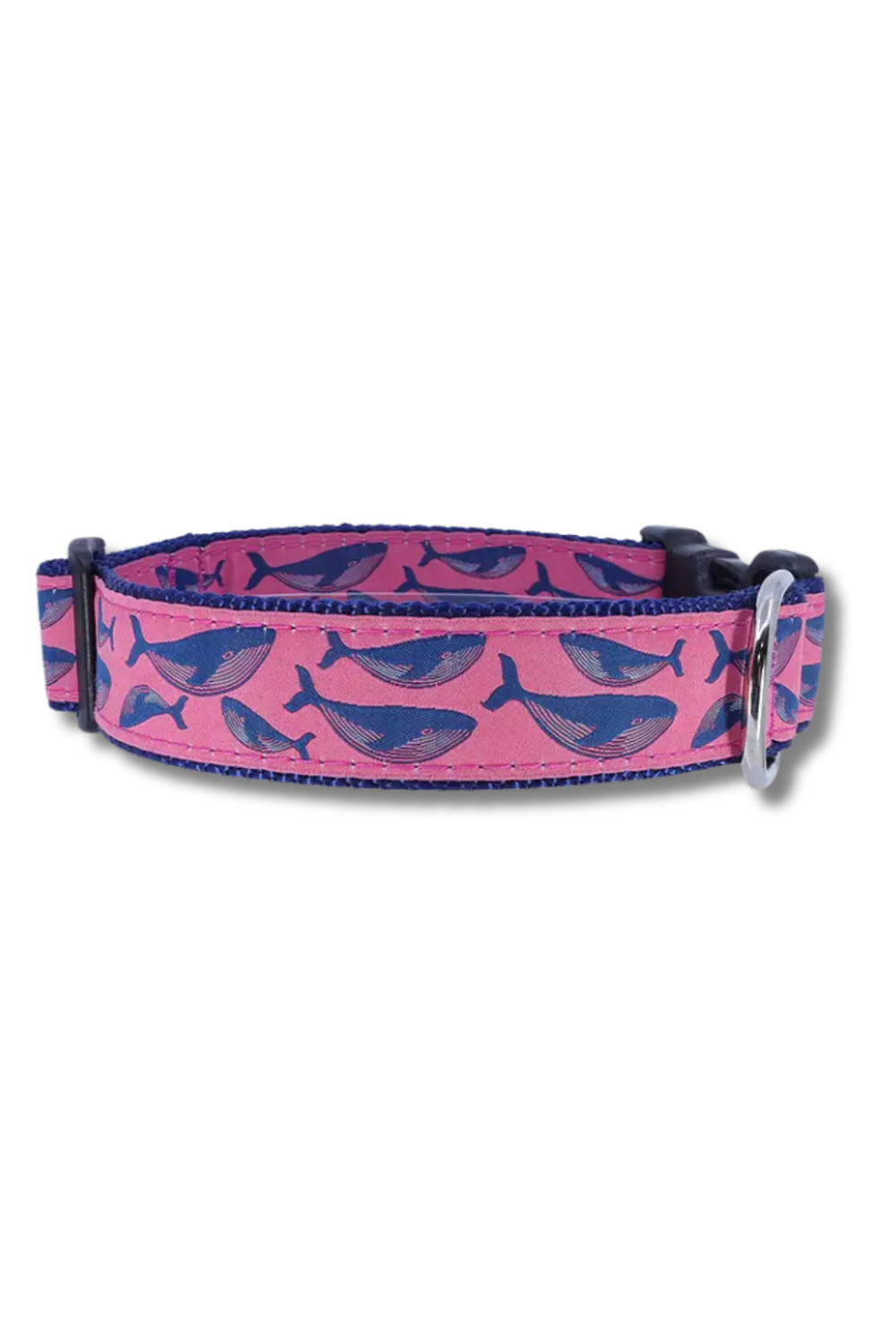 PRESTON Humpback Whale on Raspberry Dog Collar