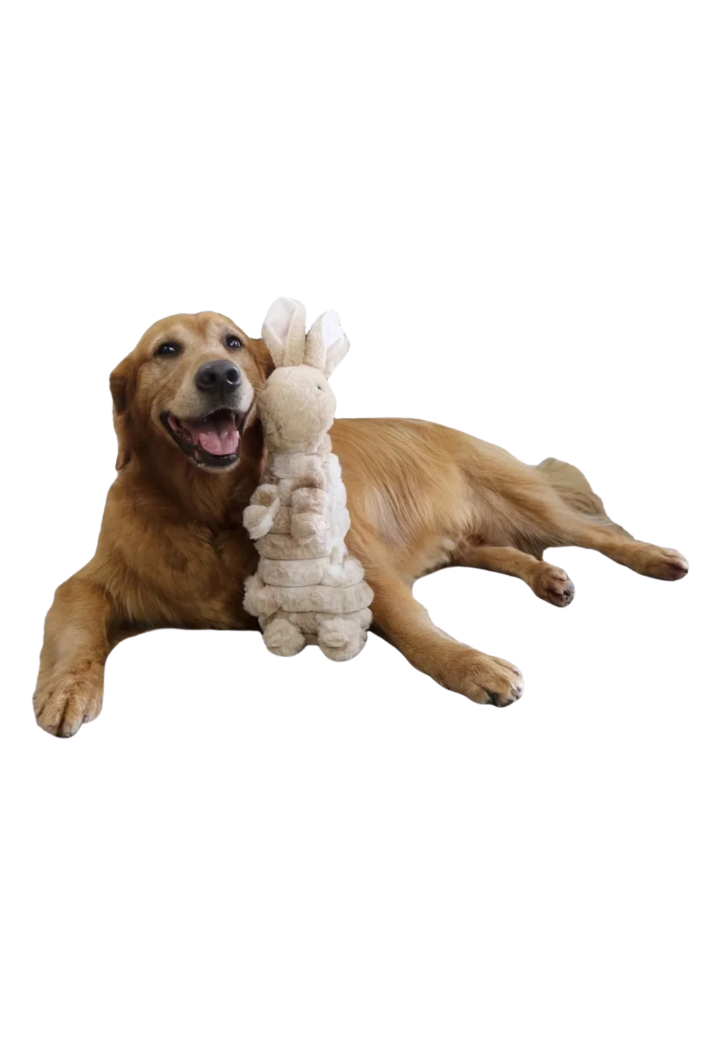 PETLOU Trapped Bunny 33"