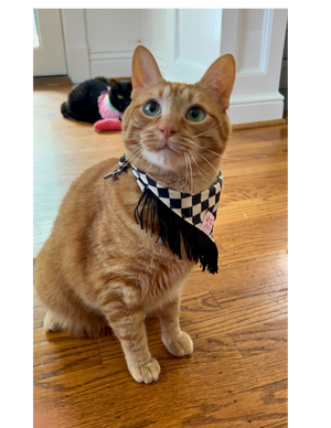 VELVET OUTPAW Checkered Fringe Bandana