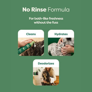 EARTH RATED No Rinse Shampoo 7oz