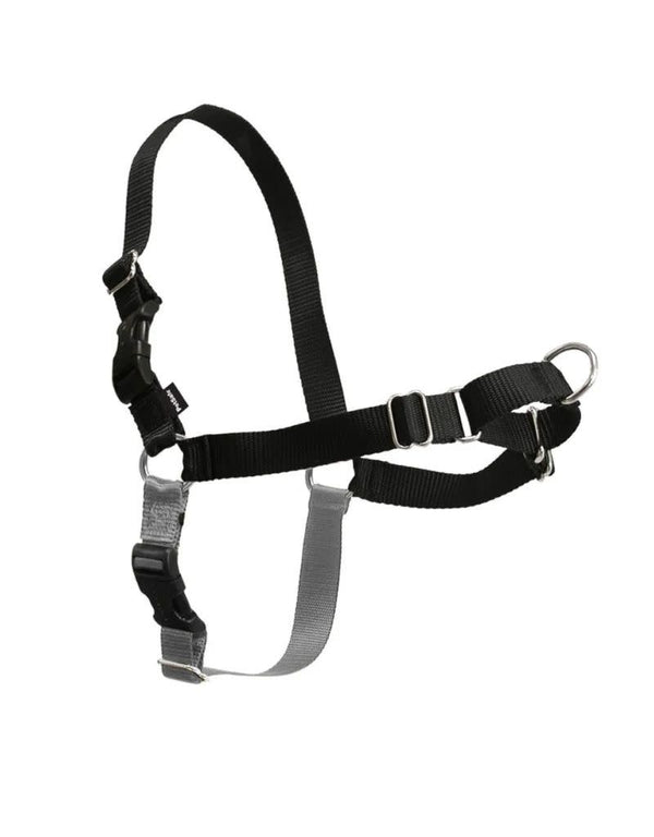 PETSAFE Easy Walk No-Pull Harness Black