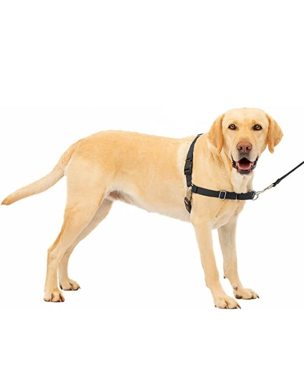 PETSAFE Easy Walk No-Pull Harness Black